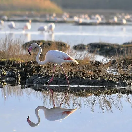 別荘 Casa Signorile *