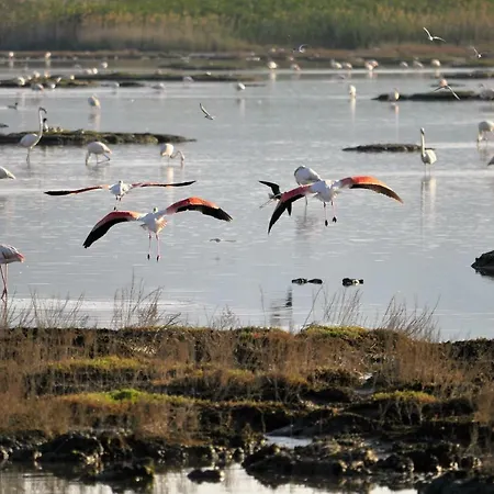 Casa Signorile 別荘 カブラス