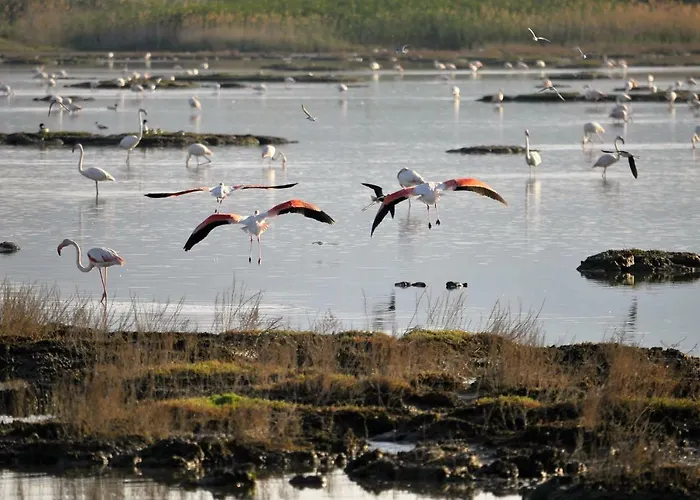 Casa Signorile Dom wakacyjny Càbras